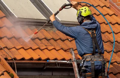 Démoussage et hydrofuge de toiture à Vervant